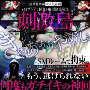 丸の内OLレイナの作品