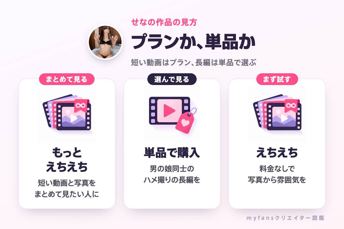 せなの作品の見方