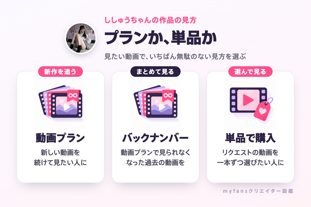 ししゅうちゃんの作品の見方